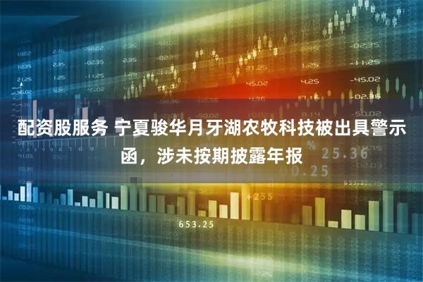 配资股服务 宁夏骏华月牙湖农牧科技被出具警示函,涉未按期披露年报